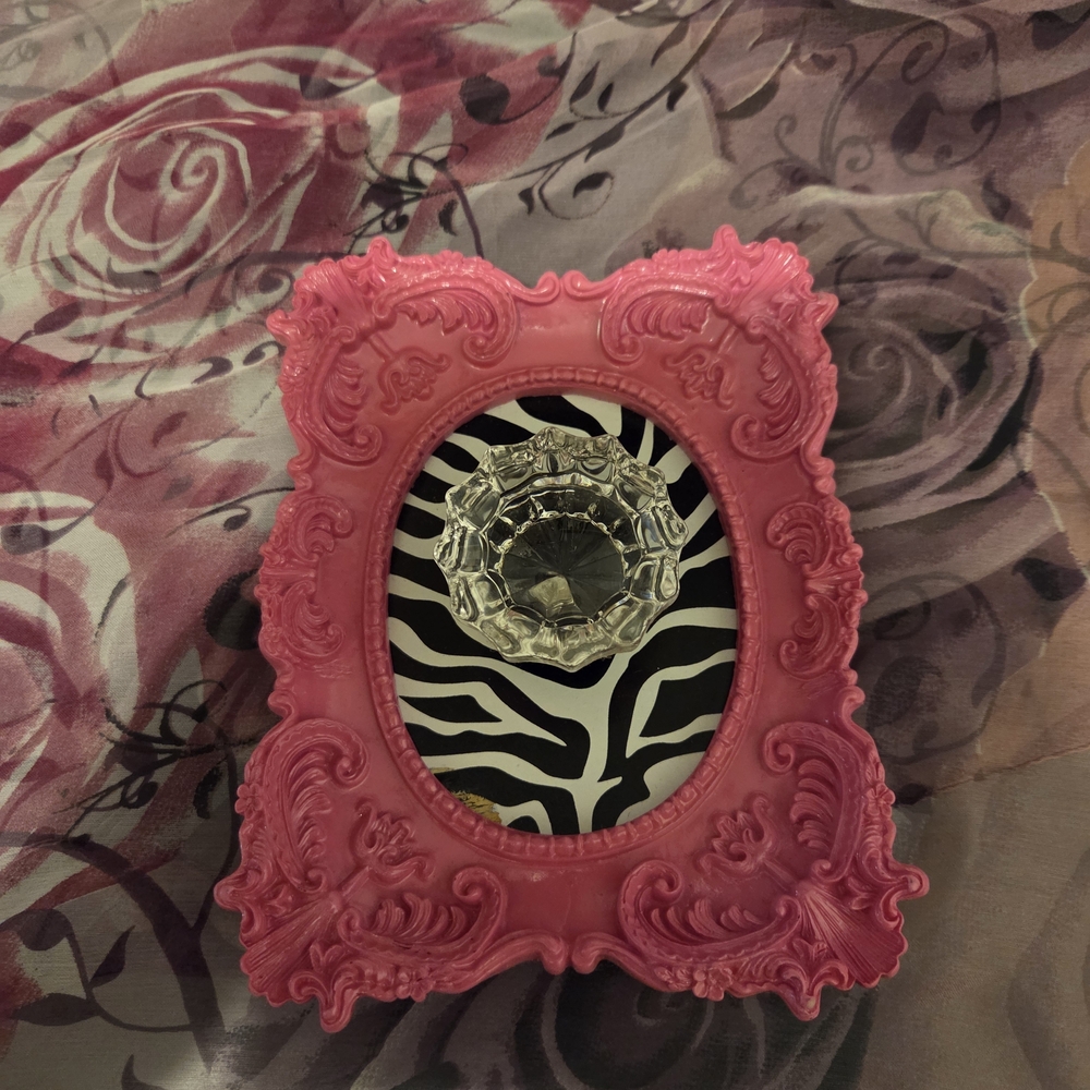 Hobby Lobby Pink Ornate Frame with Zebra Art